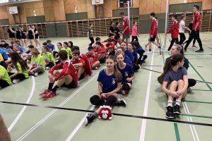 Faustball 9.jpg