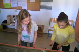 Wuzzelturnier-Mai2015_02.jpg